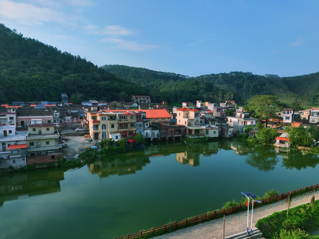 云路村中的水塘如镜,倒映着青砖老宅与新建小楼