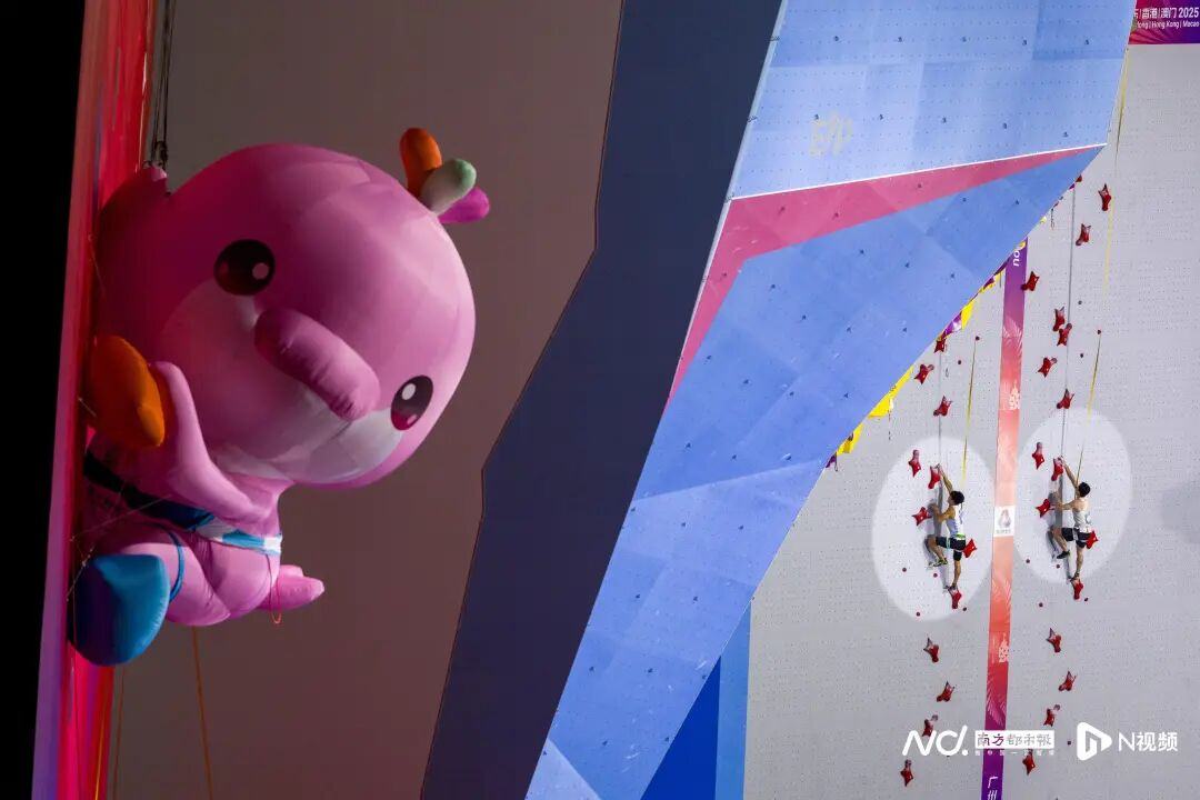 5000x3335_691ed48b1e0db.jpg?X-Amz-Conten