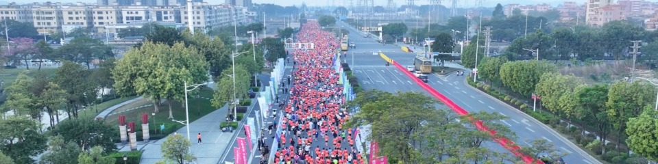 秋色佛山 跑稻高明