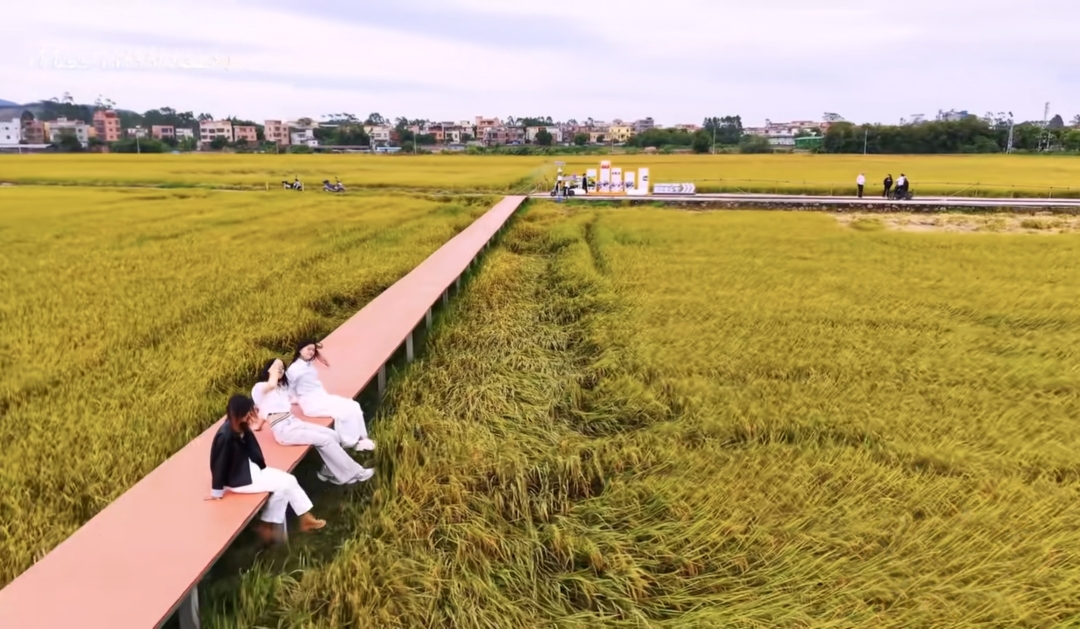 _2025_11_shizq2025112518413010067190