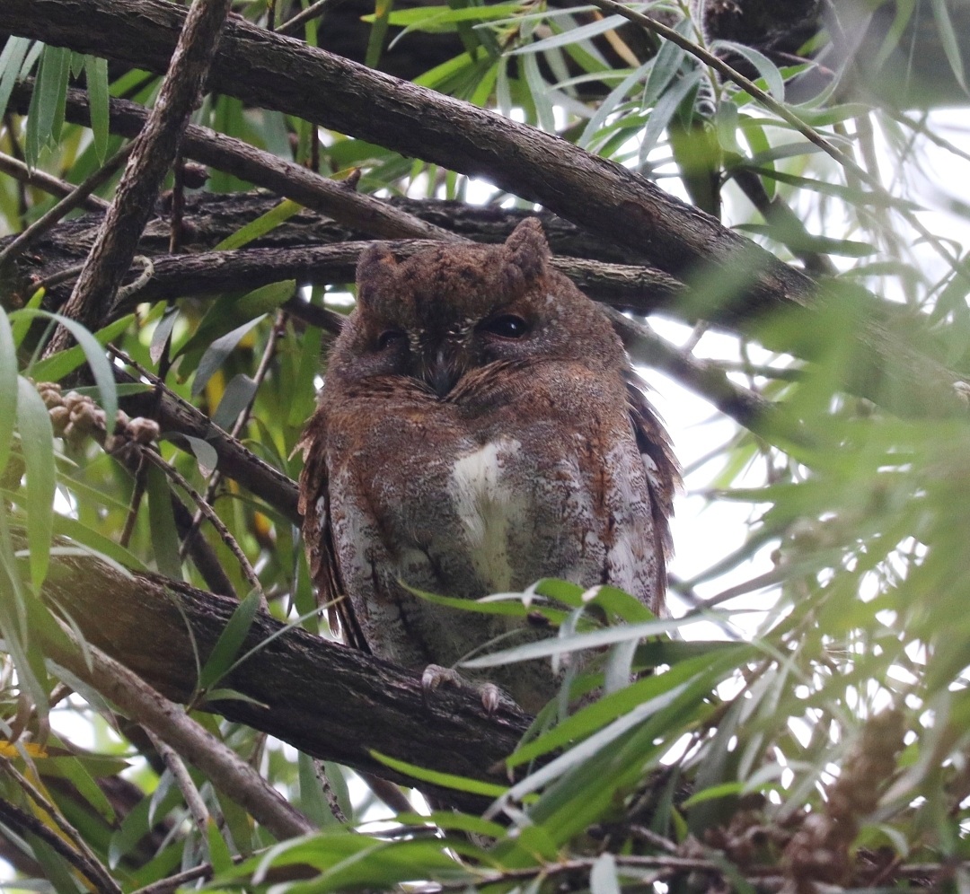 图片_20251125195651