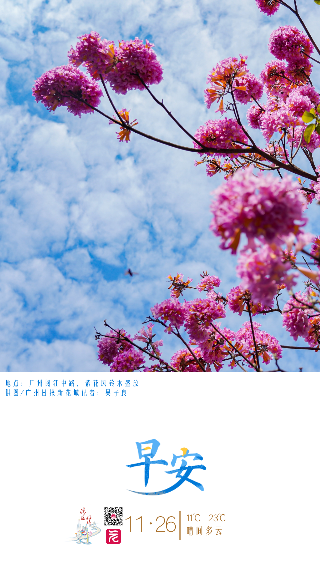 c20df7bcfd21adb6d1c05cadffa5c18.png c20df7bcfd21adb6d1c05cadffa5c18.png