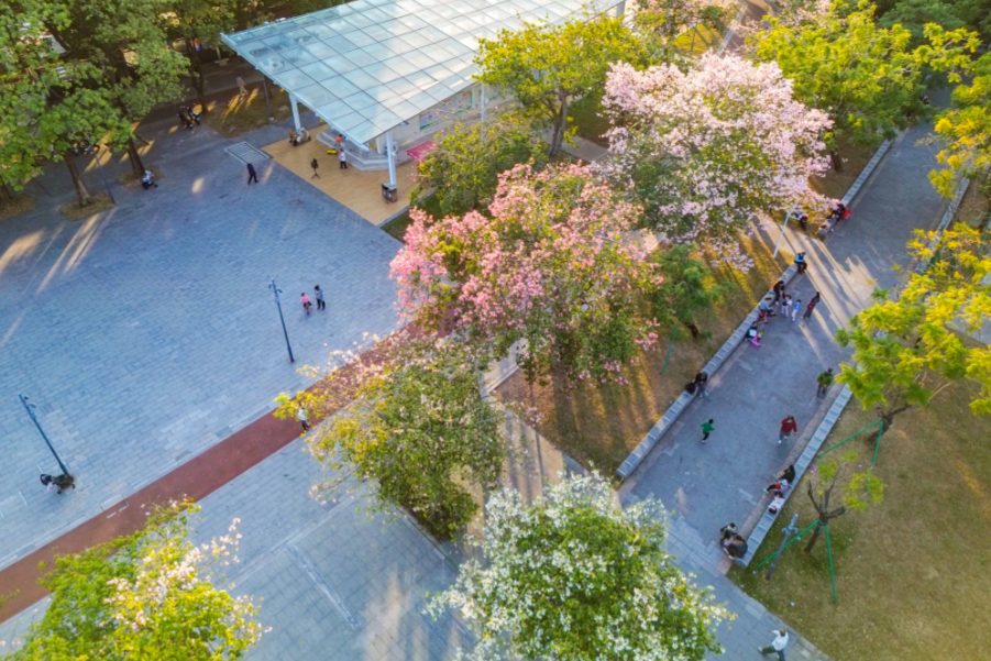 78c68c8046eebe4f356fe6a0c943659.png 78c68c8046eebe4f356fe6a0c943659.png