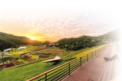 res01_attpic_brief (5)