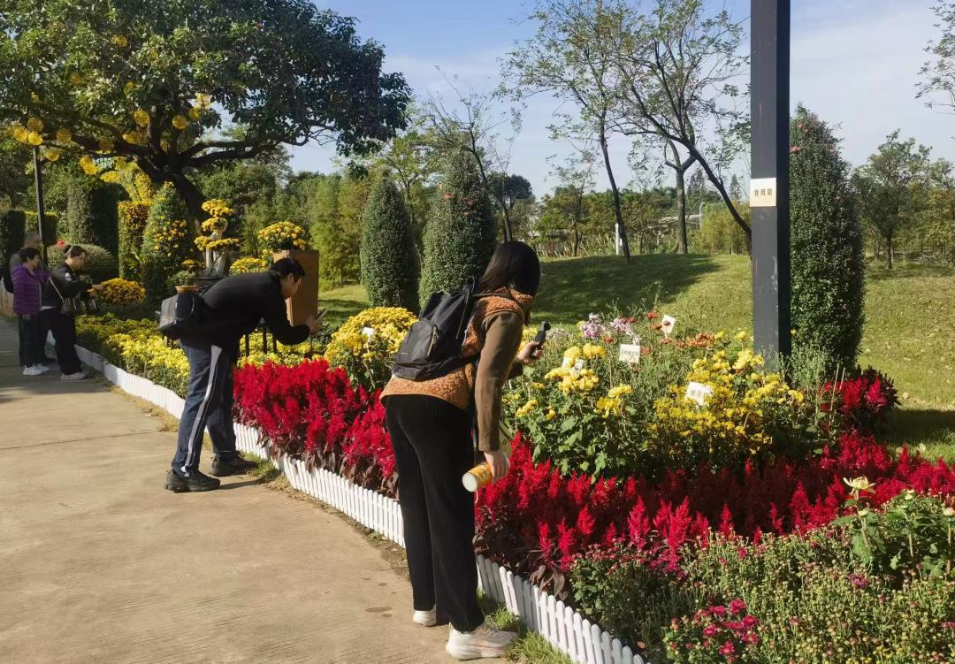 菊花会现场WechatIMG5