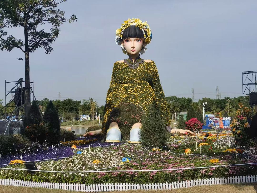 菊花会现场WechatIMG3