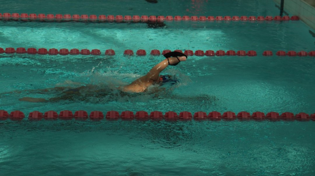 da9e0cd7fq9d55854ba485db04f6a8f0