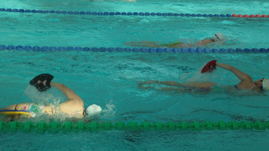 76662d56en350d287d4f3c79d520cbf2