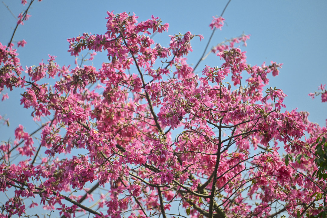 廖雪明-lxm2512042 (4)-NEP1_20251204_C00414790813.jpg