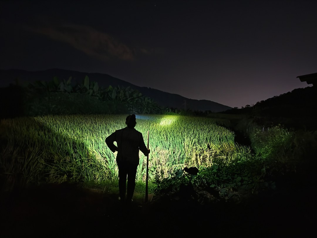 8667 - 421383-纪录类- 蔡洁云- 《稻田守望者》