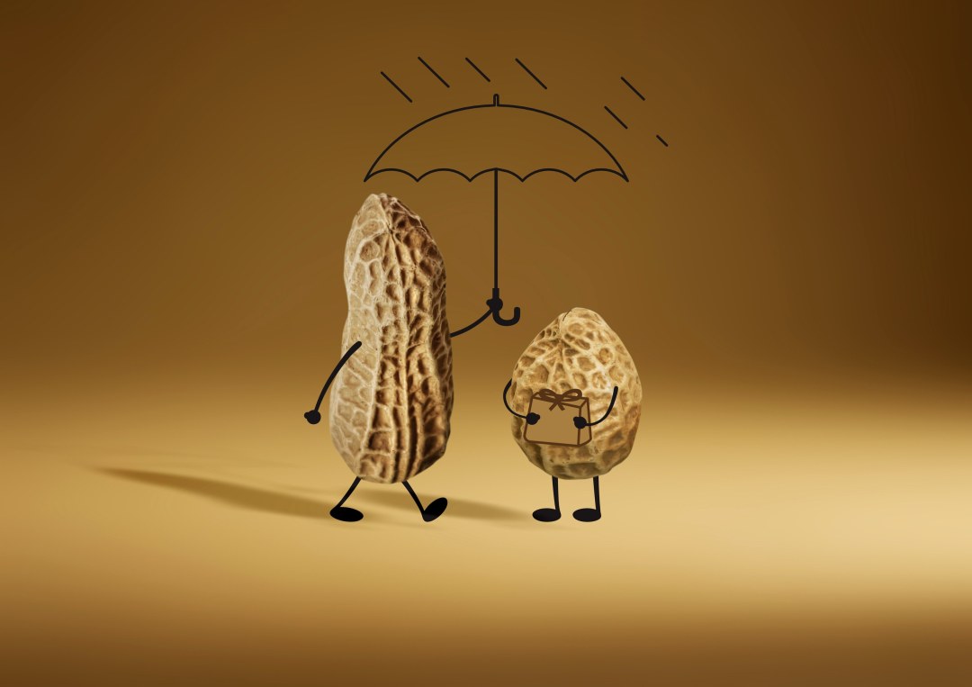 17696-408442-青年组-莫扬-《好事花生》-1