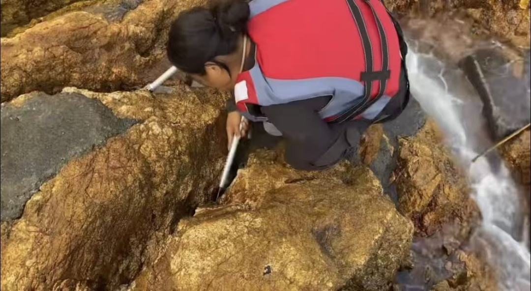 7baf1acfe214515af454aba0a6570128