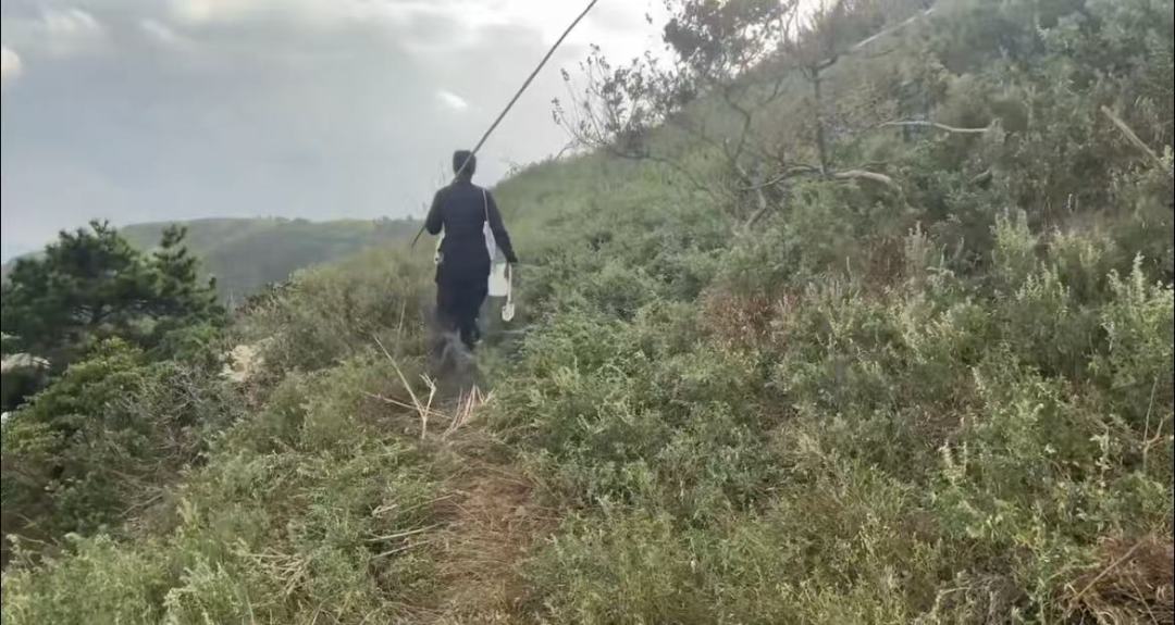 49adc6281580dabbaae1a9138d687d2f