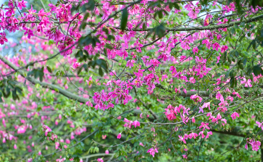 微信图片_20251214195716