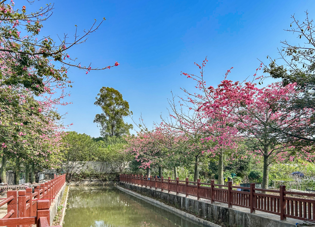 微信图片_20251214195700