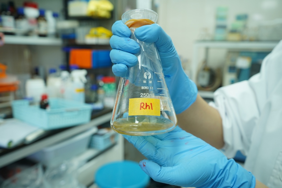 梁倩薇-稀有人参皂苷试剂-NEP1_20251218_C00414848959