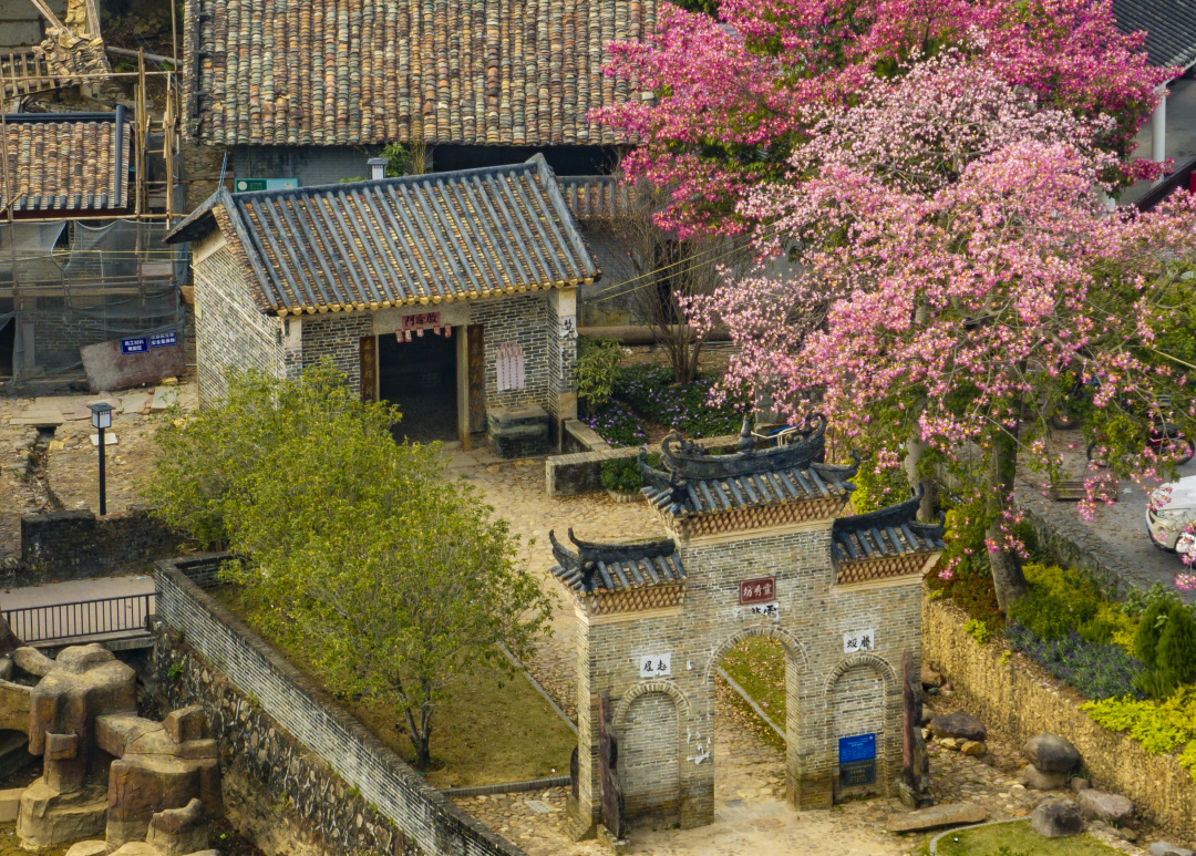 廖雪明-lxm251210 (1)-FZ100414857376.jpg 廖雪明-lxm251210 (1)-FZ100414857376.jpg