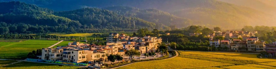 “百千万工程”增城在行动