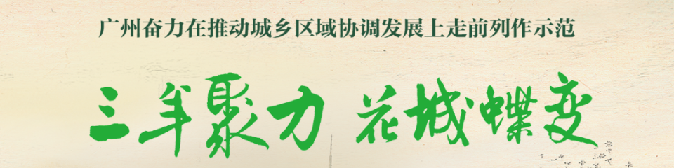 三年聚力 花城蝶变