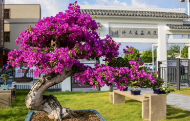 ScreenShot_2025-12-25_155236_801