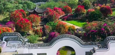 ScreenShot_2025-12-25_155229_891