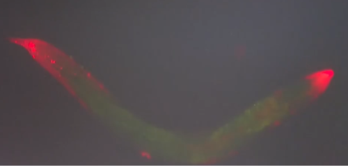 09309b32bd16d1986505cb7863a4ebaf_W020250528546368556797.png