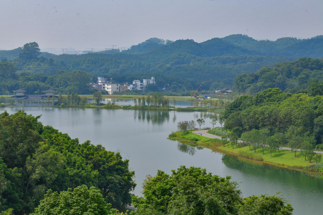 杨耀烨-“黄埔新八景”正式发布-NEP1_20251230_C00414897974.jpg 杨耀烨-“黄埔新八景”正式发布-NEP1_20251230_C00414897974.jpg