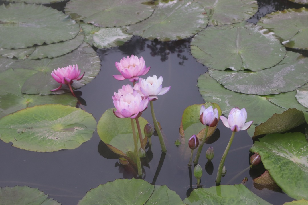 3abf093e7e3acfaf4cc228dfd74aa66d.jpg 3abf093e7e3acfaf4cc228dfd74aa66d.jpg