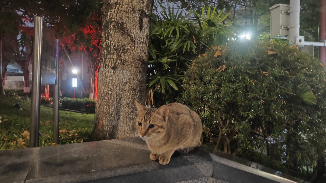 db991fd2b9c9c5779dedb87f98b847fb.jpg db991fd2b9c9c5779dedb87f98b847fb.jpg