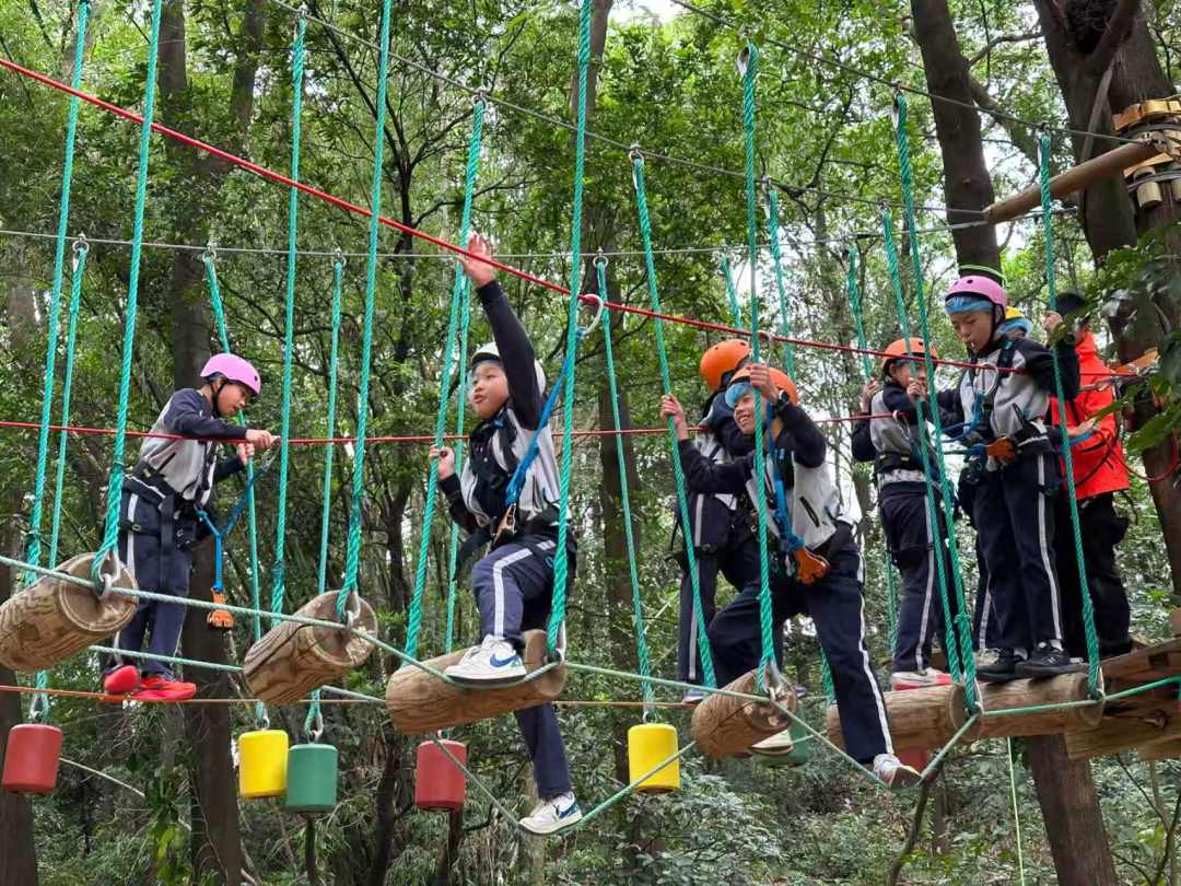 微信图片_20260105184108