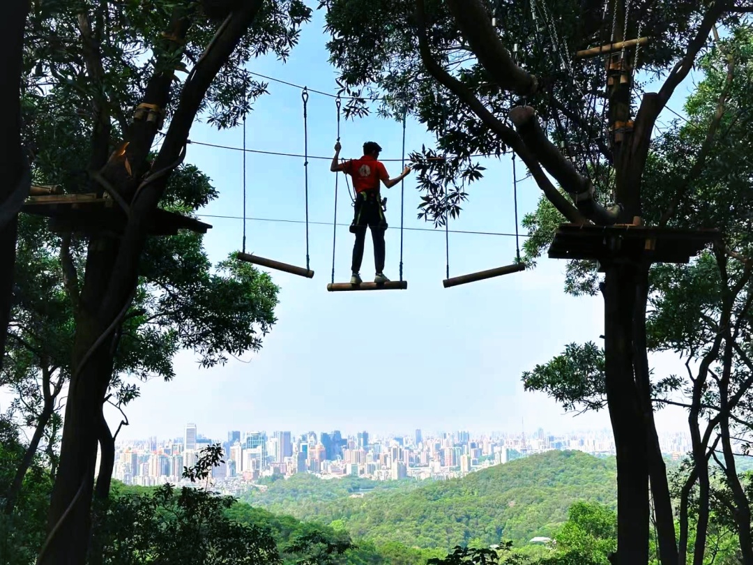 微信图片_20260105190533