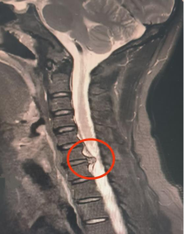 029fd289-7fd6-4044-a88f-e739d2ad32bb