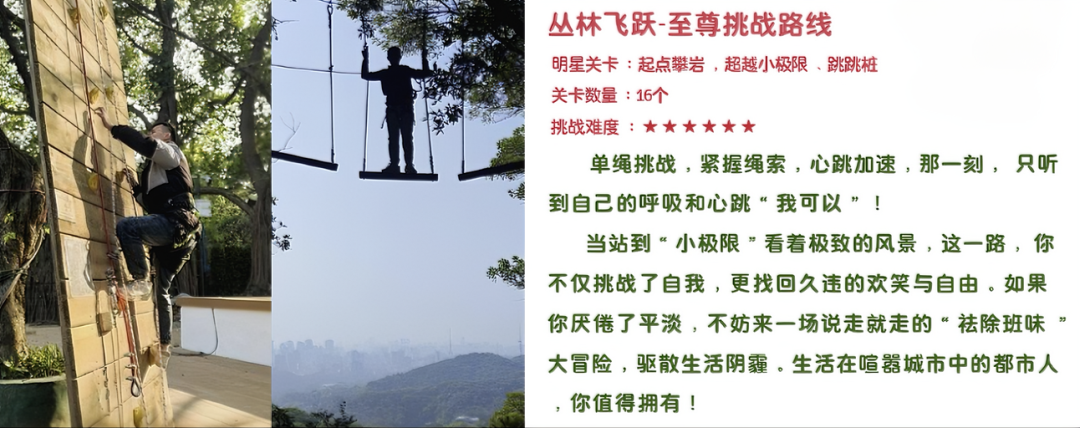 默认文件1767616657650