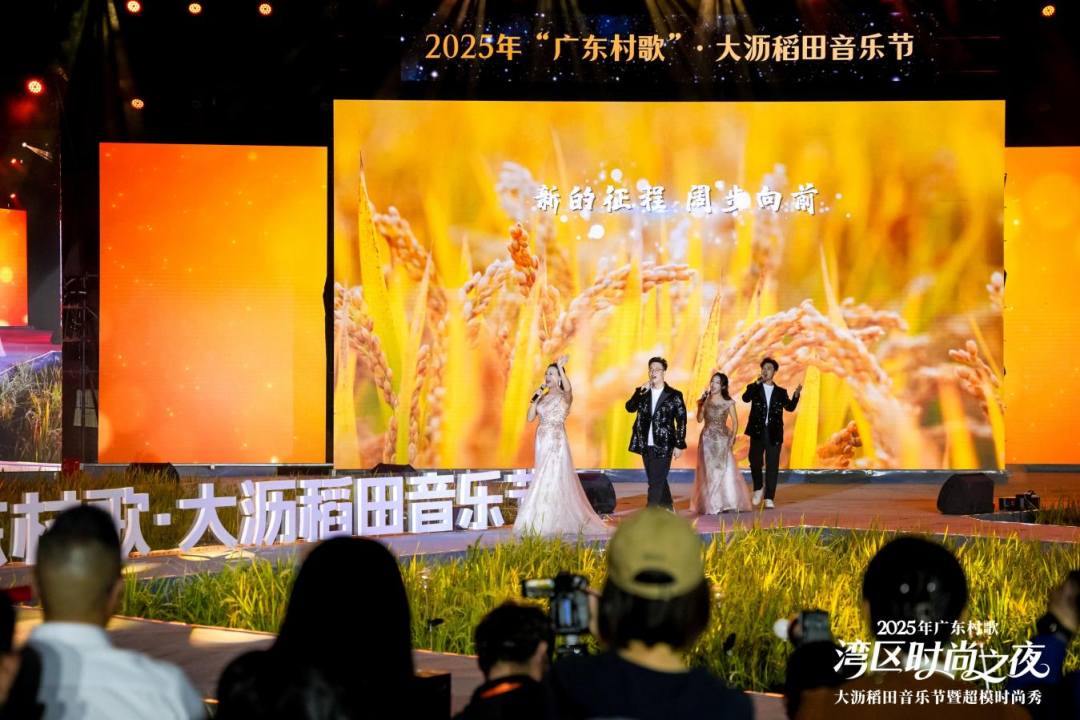 图片4 佛山市南海区大沥镇稻田音乐节活动