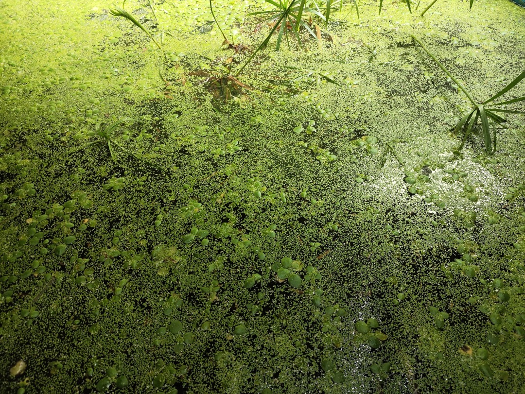 01f21b22993f09c146f65f4aacde386.jpg 01f21b22993f09c146f65f4aacde386.jpg