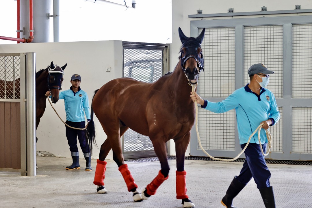 c72fa7b9c7111326891612be52075ce.jpg c72fa7b9c7111326891612be52075ce.jpg