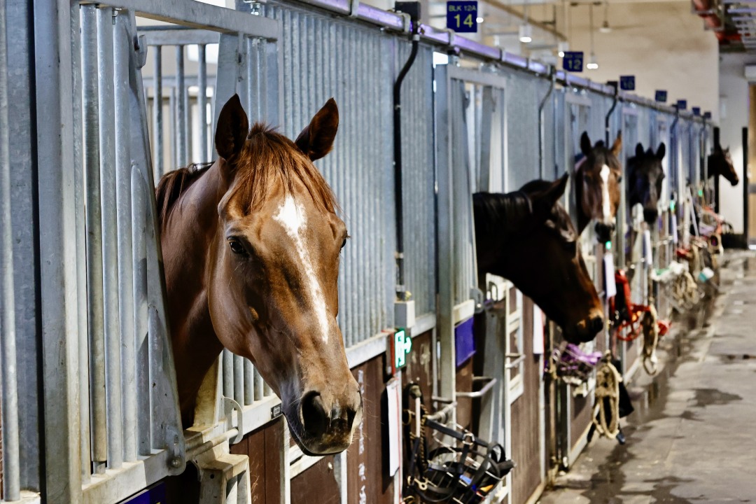 3d5a1cb9fa27a1b2150fbc8b8467b60.jpg 3d5a1cb9fa27a1b2150fbc8b8467b60.jpg