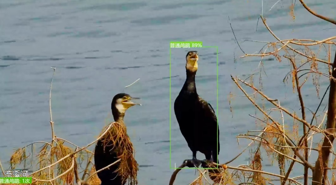 微信图片_20260108170657_1382_16