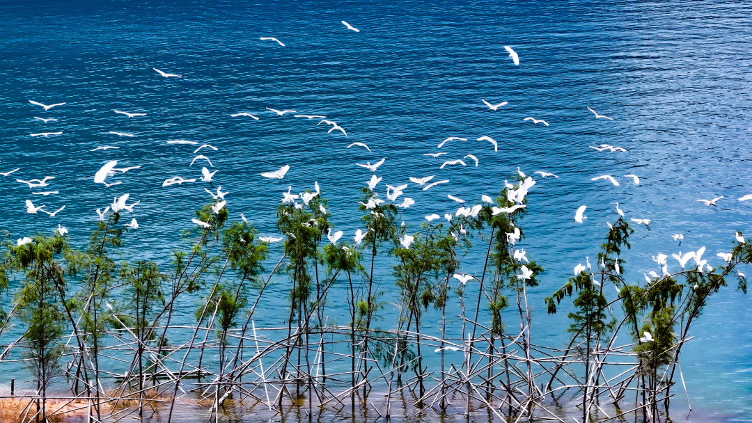 微信图片_20260108170629_1378_16