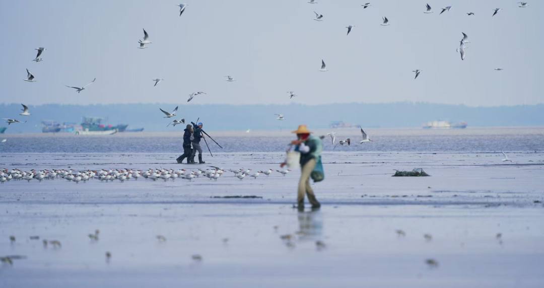 微信图片_20260107100104_961_31