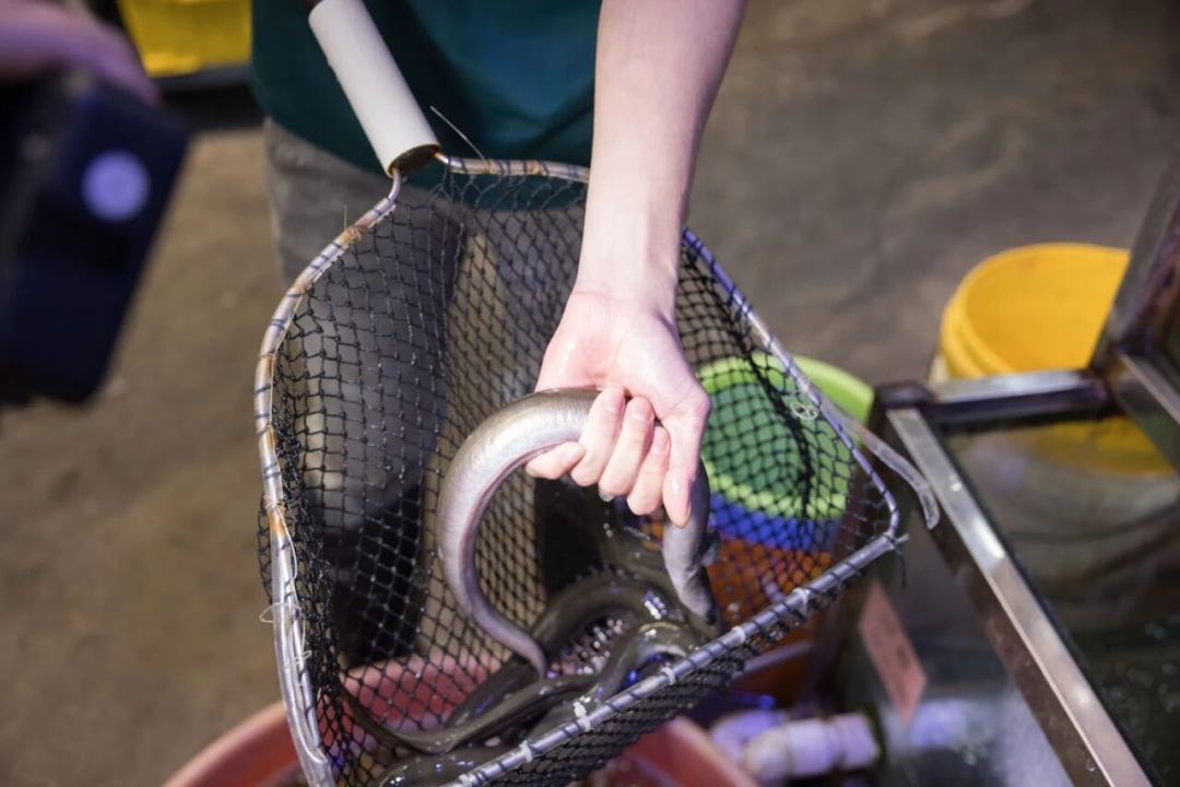 c3a5f4cfe6916e9e22f54fefe1237ff2.jpg c3a5f4cfe6916e9e22f54fefe1237ff2.jpg