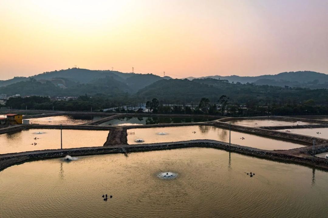 0fc499f9aed9e466ebf39969d5e9f4f2.jpg 0fc499f9aed9e466ebf39969d5e9f4f2.jpg