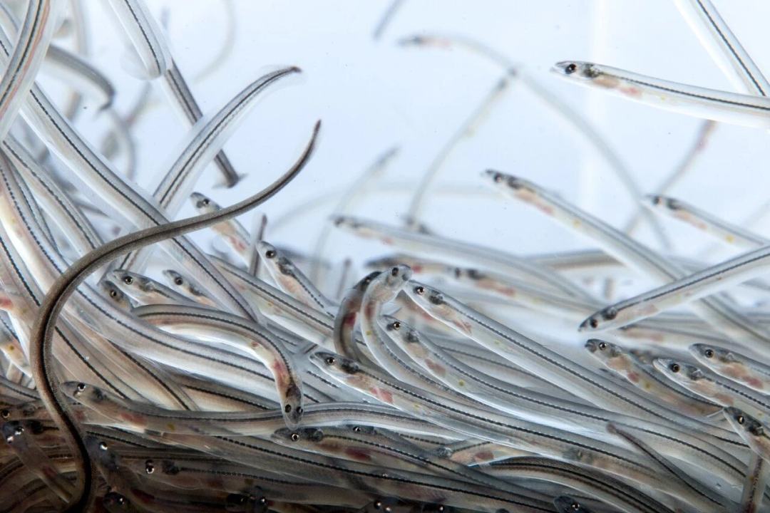 d985f175529e5e353075358e32a321c4.jpg d985f175529e5e353075358e32a321c4.jpg