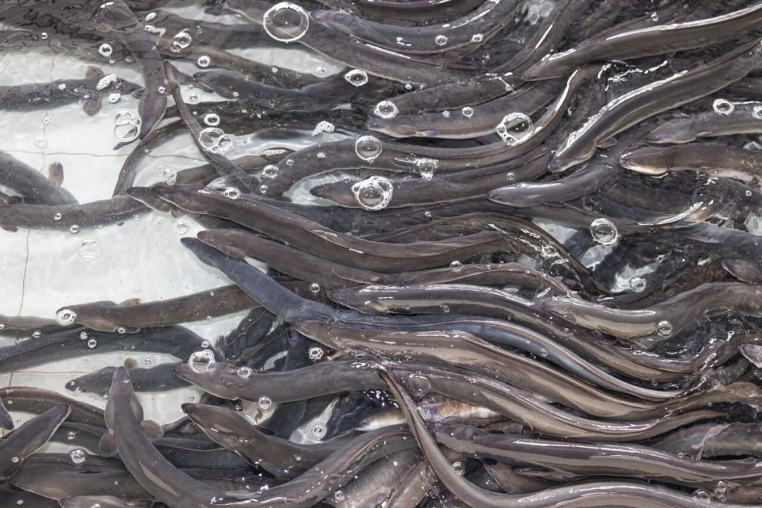 54cf5569b7dc9a95553e52afc57c1e31.jpg 54cf5569b7dc9a95553e52afc57c1e31.jpg