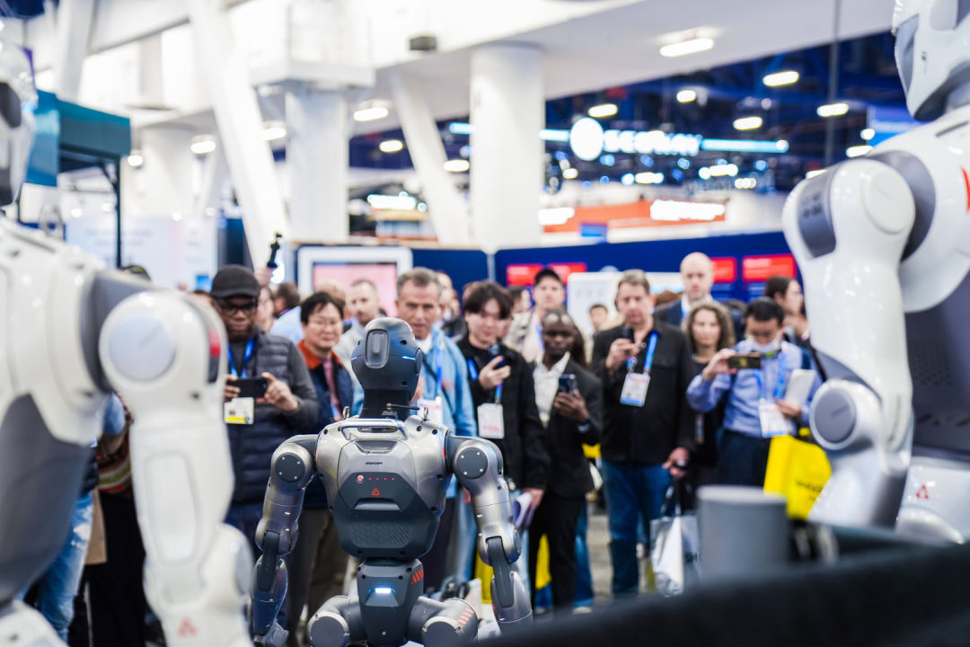 DSC00516-opq4276331482