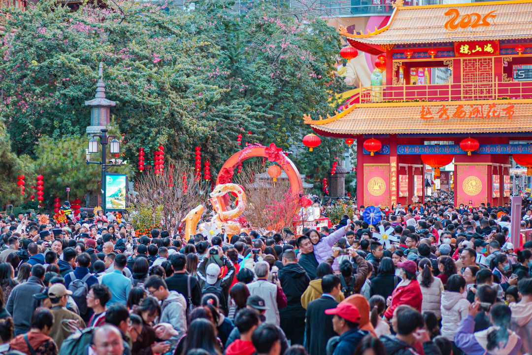 吴子良20250127天晴逛花市 喜乐迎新年 (21)