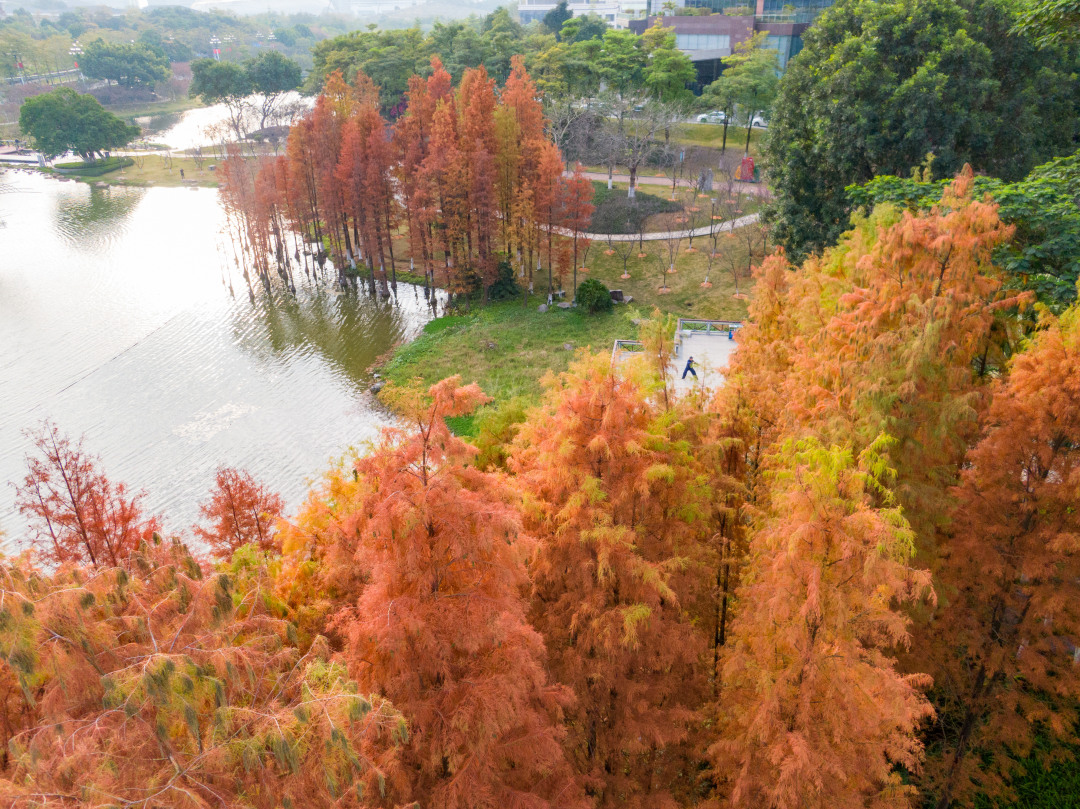 微信图片_2026-01-13_103127_686