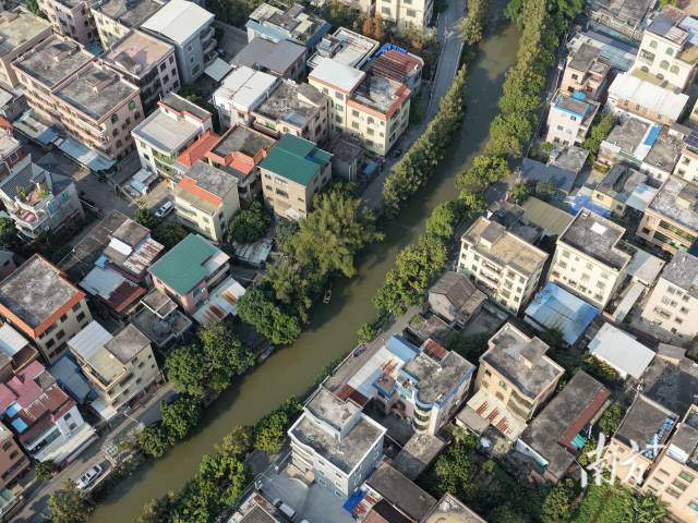 东涌镇展现一派蕉林叠翠的水乡风光