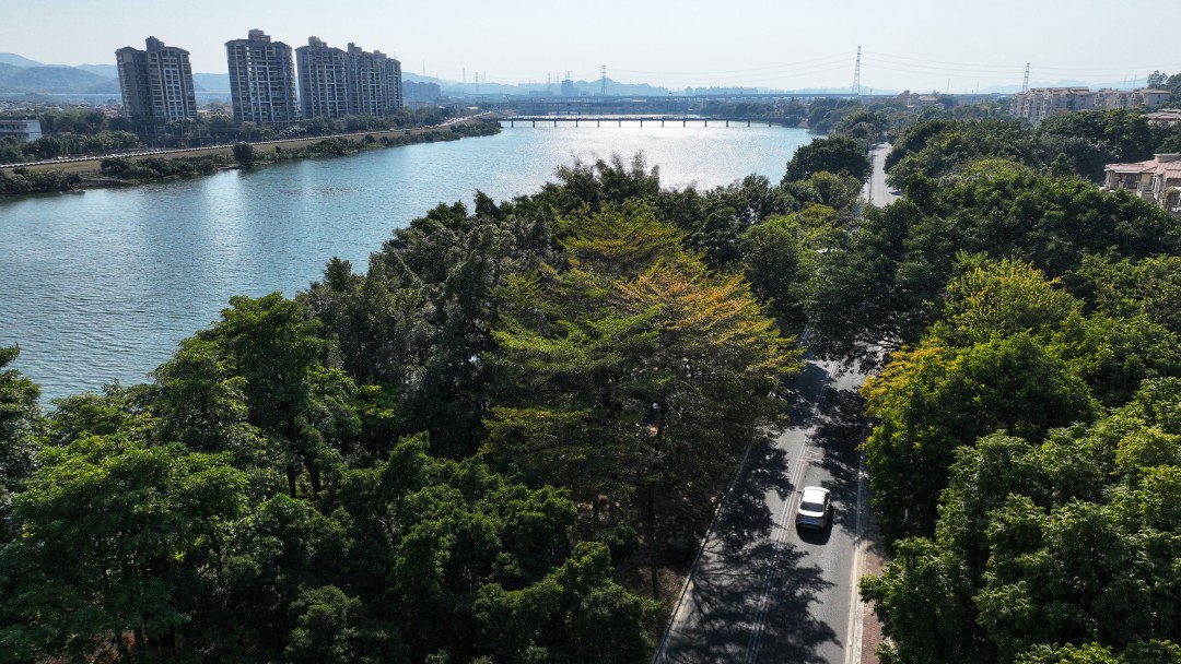 在美丽河湖建设领域,广州流溪河入选了生态环境部美丽河湖优秀案例。