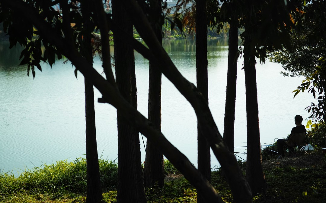 流溪河,自从化区吕田镇桂峰山发源,最终在南岗口汇入珠江西航道。